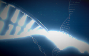 Biontech Chemicals project preview
