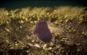 Travel Bugs project preview